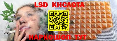 гидра Краснознаменск