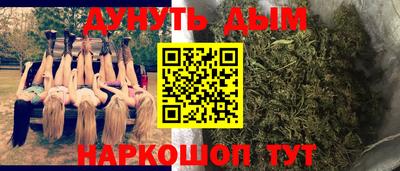 гидра Краснознаменск